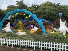 -上海共青森林公园