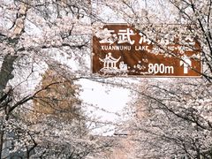 -鸡鸣寺