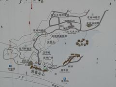 -金卉庄园