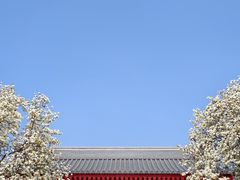 -大慈恩寺(大雁塔)