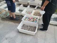 -中环花鸟鱼虫市场
