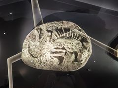 -香港科学馆