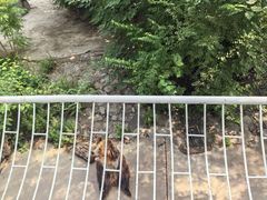 -天津市动物园