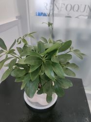 -靓芙泉·0感专研祛痘
