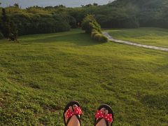 -鹅銮鼻公园