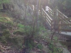 -青龙山公园