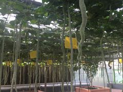 景点-兰陵国家农业公园