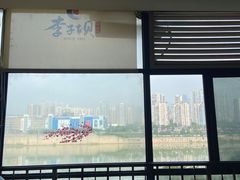 -李子坝梁山鸡(李子坝大鸡哥店)