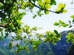 -重庆云阳龙缸景区