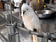 -四海楼(如皋定慧禅寺店)