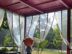 -鸡鸣汤包(红山动物园店)