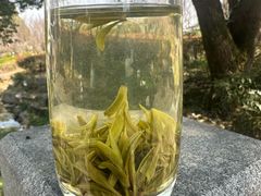 -文雅轩茶叶(锦和越界田林坊店)