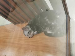 -龟与熊猫宠物公园(南坪店)