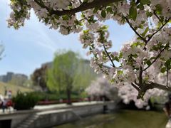 -元大都城垣遗址公园