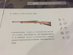 -真枪会射击俱乐部(河西中央公园店)