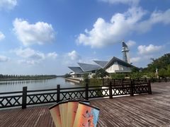 -盐城丹顶鹤湿地生态旅游区