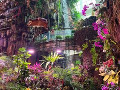 -正佳雨林生态植物园