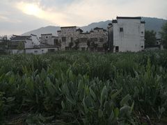 -南湖书院