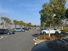 -春花秋色城市公园