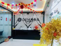 -DEM缔怡美科技美容