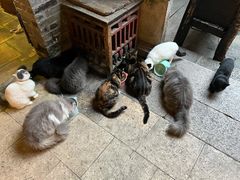 -老屋咖啡