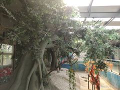 -淄博花灯齐彩城