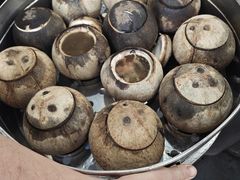原只椰子炖走地鸡-達揚原味燉品(文明路店)