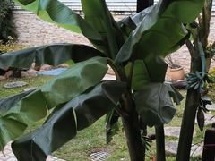 -云溪植物园