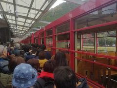 -岚山嵯峨野观光小火车