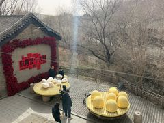-爱新觉罗皇家博物院