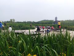 -永定河休闲森林公园