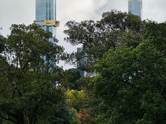 -墨尔本皇家植物园