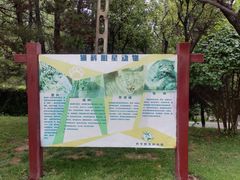 -青藏高原野生动物园
