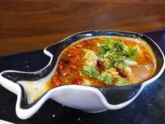 -嘟嘟红唇老坛酸菜鱼(九洲店)