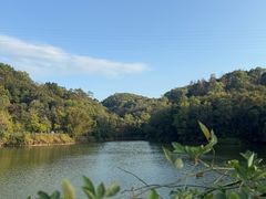 -中山市树木园