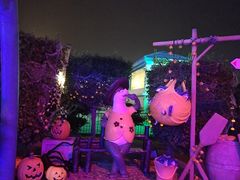 -巨鹏飞梦幻海岸