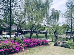 -日出青木·杭帮菜名店
