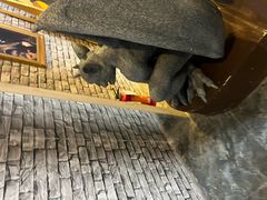 -谜盒子奇幻密室(南屏店)