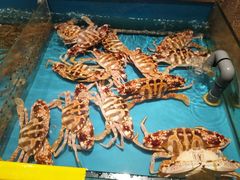 -杭越海鲜(迪荡店)