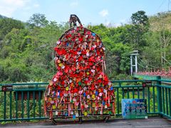 -西双版纳原始森林公园