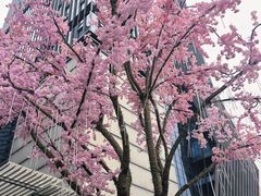 -首开·龙湖成都西宸天街