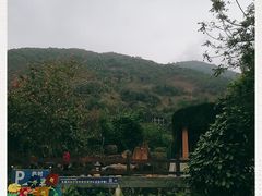 -清溪森林公园