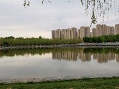 -五环公园