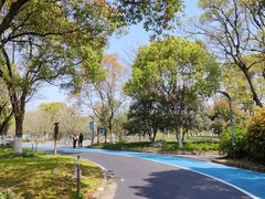 -上海吴淞炮台湾国家湿地公园