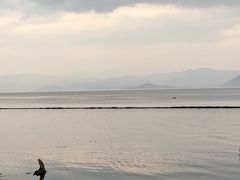 -大理洱海