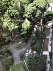 -宝生月子中心·私家园林式(龙华观澜店)