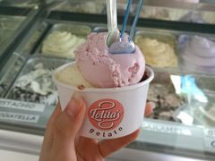 -Lolita's Gelato