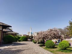 -北京世界公园