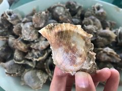 -海上驿站渔家菜馆