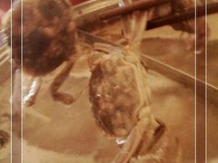 小河蟹_活蹦乱跳的被下了锅！-欢乐牧场海鲜烤肉自助(牡丹园店)